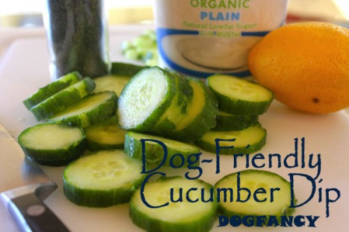 cucumber-dip