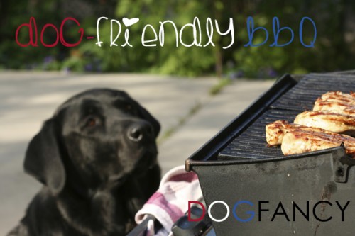 dog-bbq