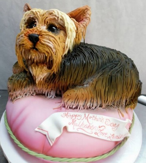 dogcake3