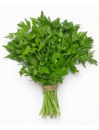 parsley-bunch-200px